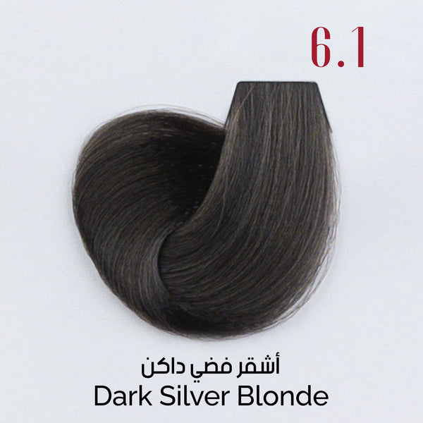 VË Hair Dye #6.1 Dark Silver Blonde