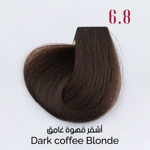 VË Hair Dye #6.8 Dark Coffee Blonde